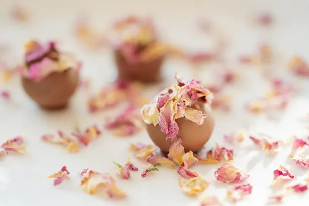 LottoKings Casino App Android/iOS